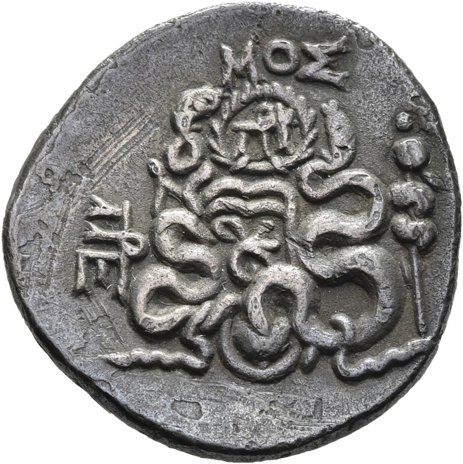 coin rev