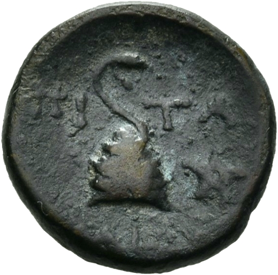 reverse CN Type 12774