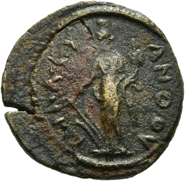 reverse CN Type 19699