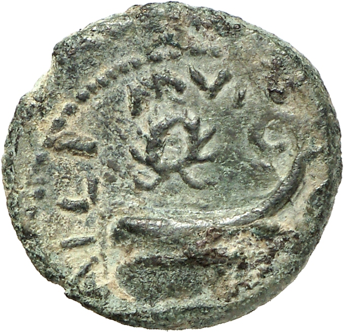 реверс CN Type cn.coela.1_ed.65