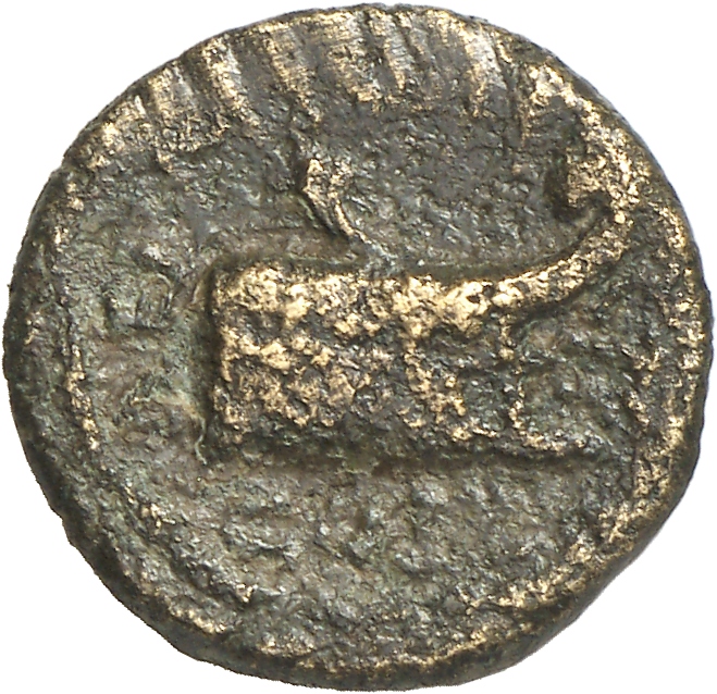 CN Type cn.coela.1_ed.84, реверс, cn-coins