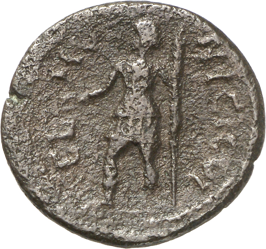 reverse CN Type cn.coela.1_ed.101