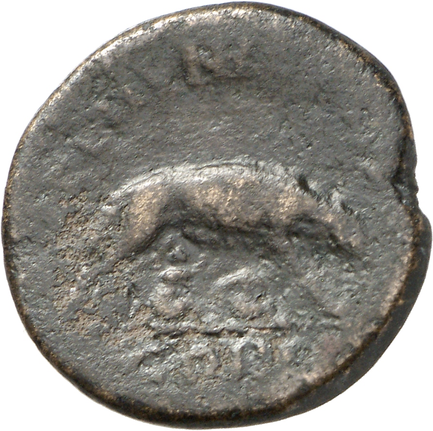 reverse CN Type cn.coela.1_ed.114