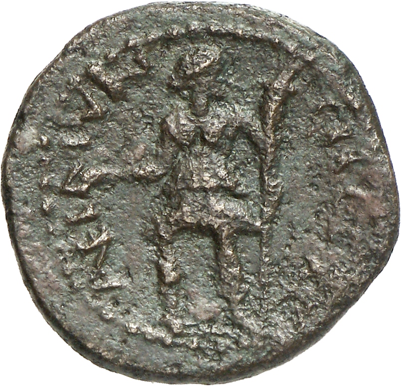 reverse CN Type cn.coela.1_ed.119