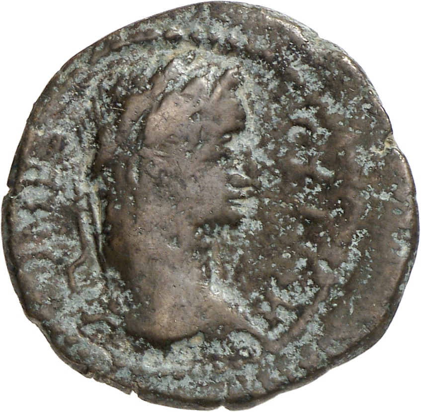 obverse CN Type cn.coela.1_ed.120