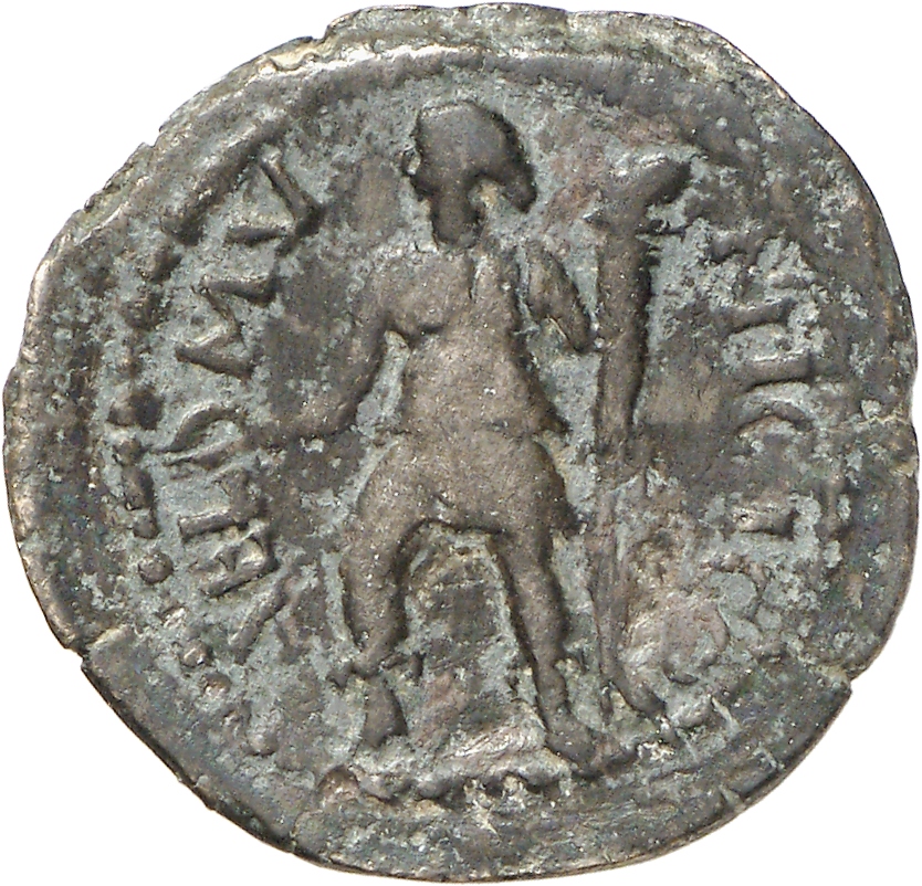 reverse CN Type cn.coela.1_ed.120