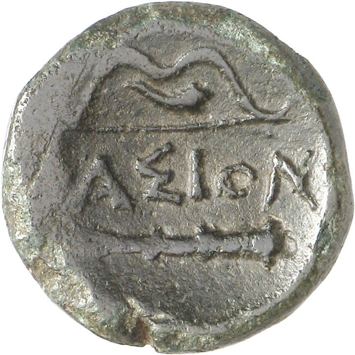 reverse CN Type cn.thasos.1_ed.89