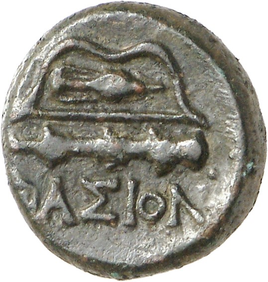 reverse CN Type cn.thasos.1_ed.102