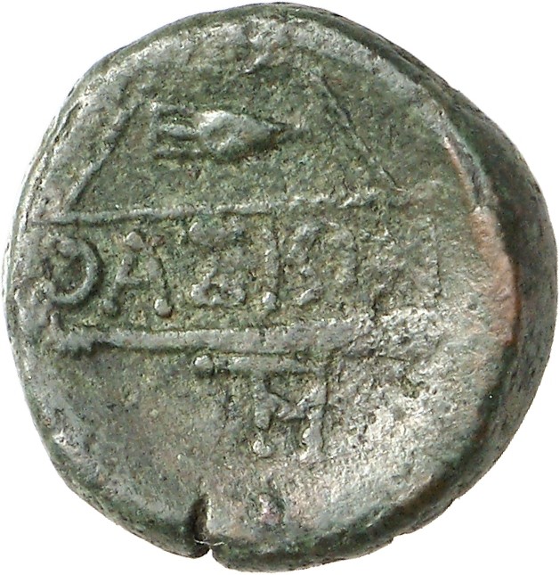 reverse CN Type cn.thasos.1_ed.110