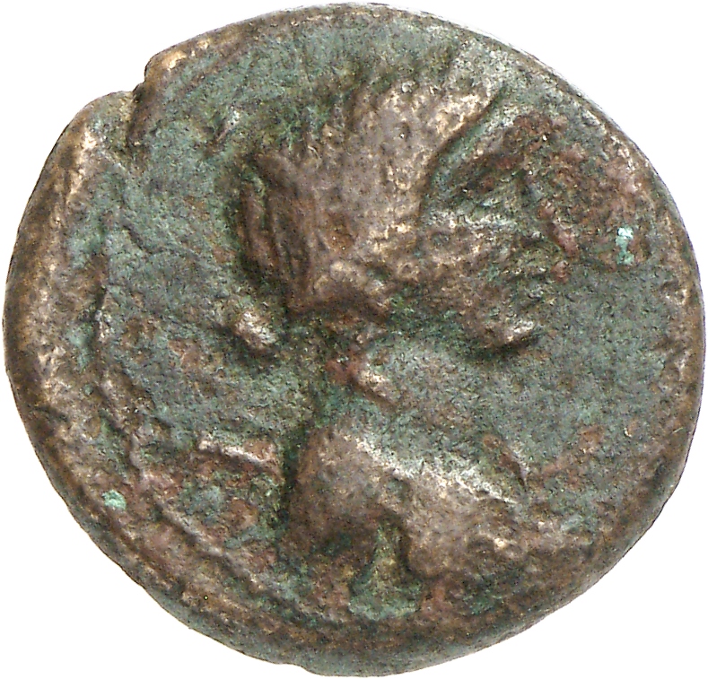 obverse CN Type cn.thasos.1_ed.146