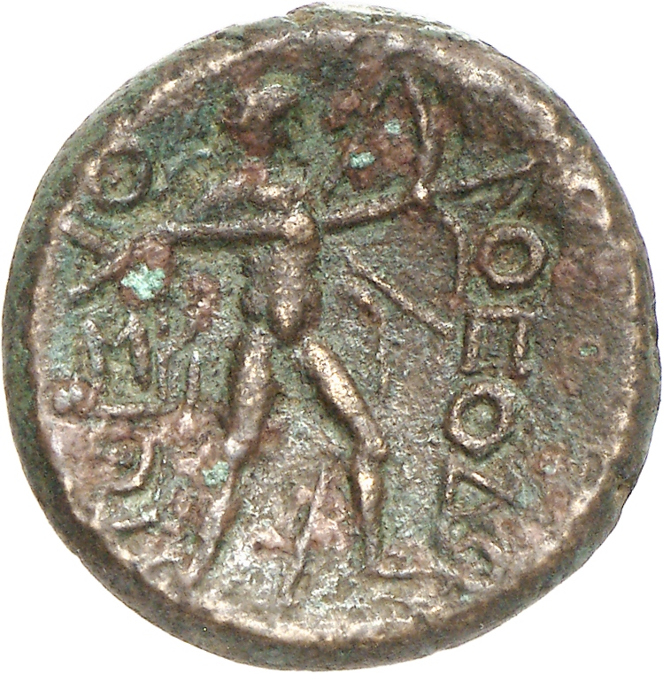 reverse CN Type cn.thasos.1_ed.146