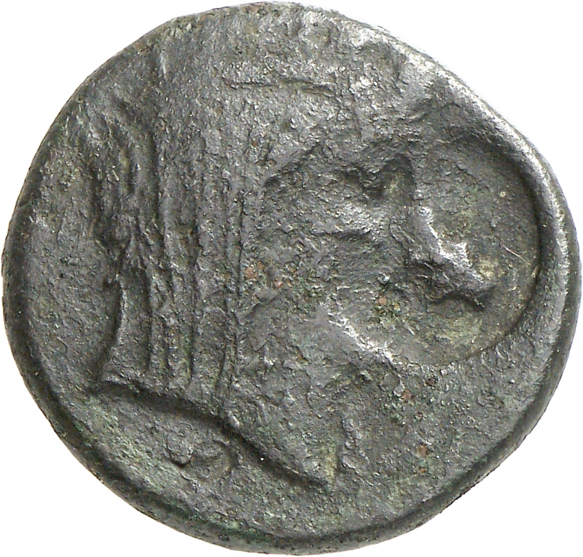 CN Type cn.thasos.1_ed.96, аверс, cn-coins