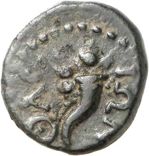 reverse CN Type cn.thasos.1_ed.149