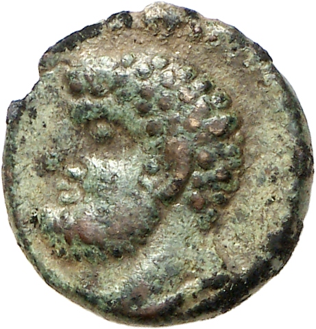 CN Type cn.thasos.1_ed.149, аверс, cn-coins