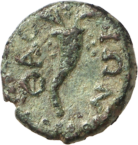 CN Type cn.thasos.1_ed.149, реверс, cn-coins