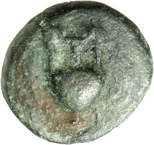CN Type cn.thasos.1_ed.105, аверс, cn-coins