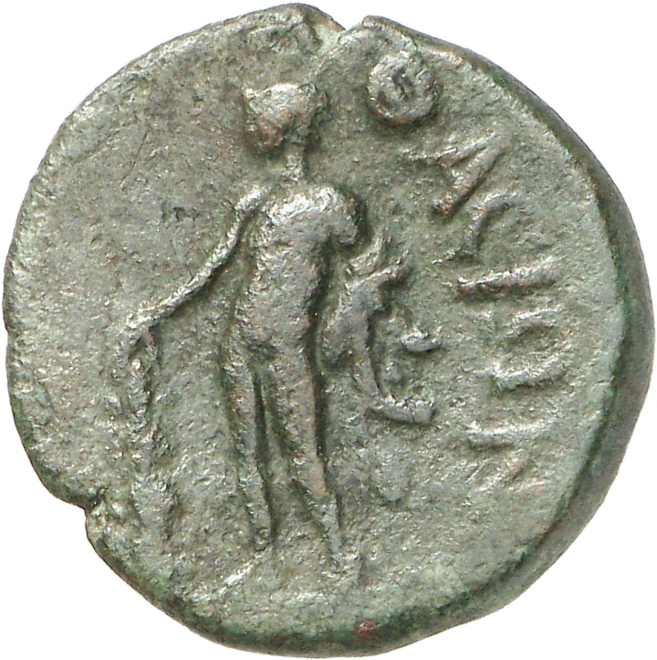 reverse CN Type cn.thasos.1_ed.151