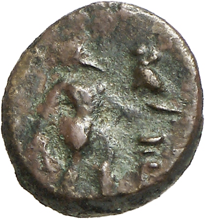 reverse CN Type cn.imbros.1_ed.10