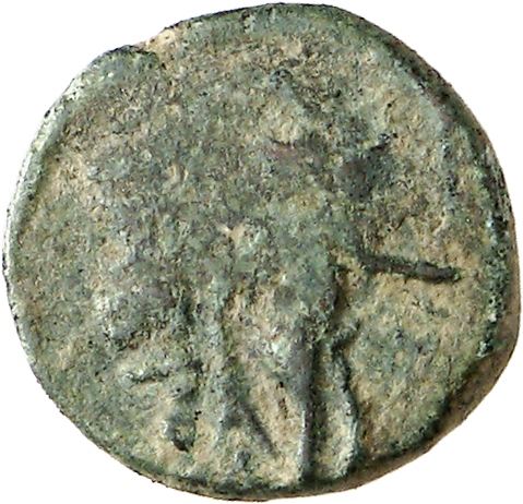 reverse CN Type cn.imbros.1_ed.11