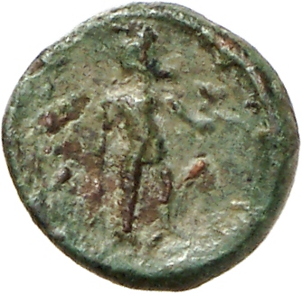 reverse CN Type cn.imbros.1_ed.15
