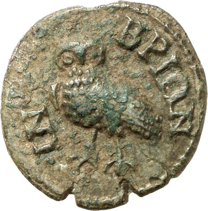 reverse CN Type cn.imbros.1_ed.24