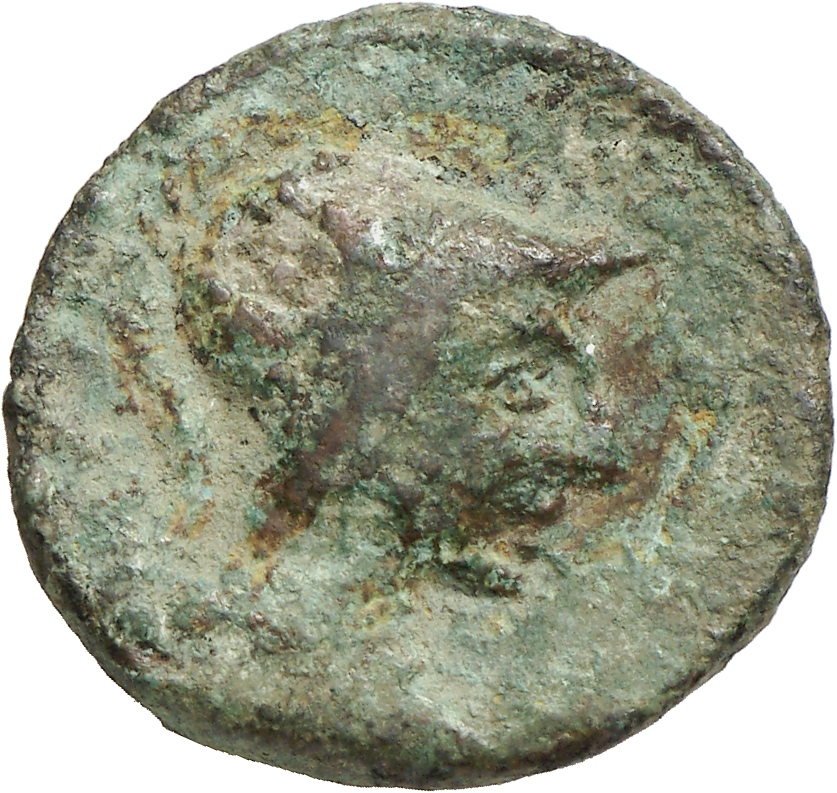obverse CN Type cn.imbros.1_ed.22