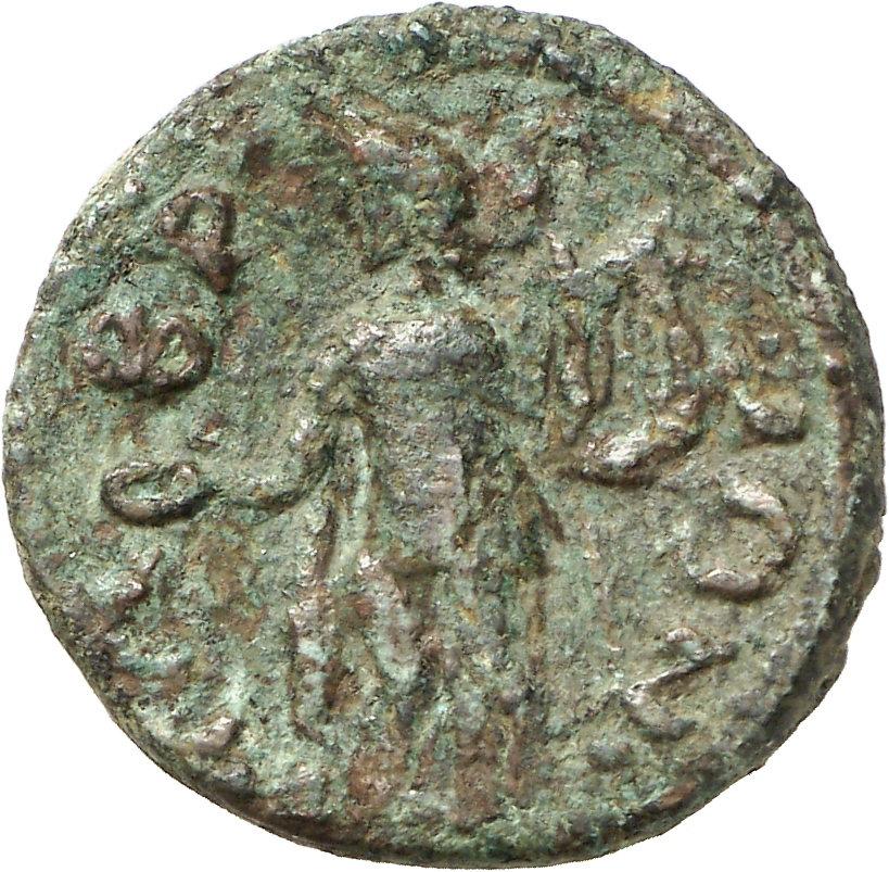 reverse CN Type cn.imbros.1_ed.22