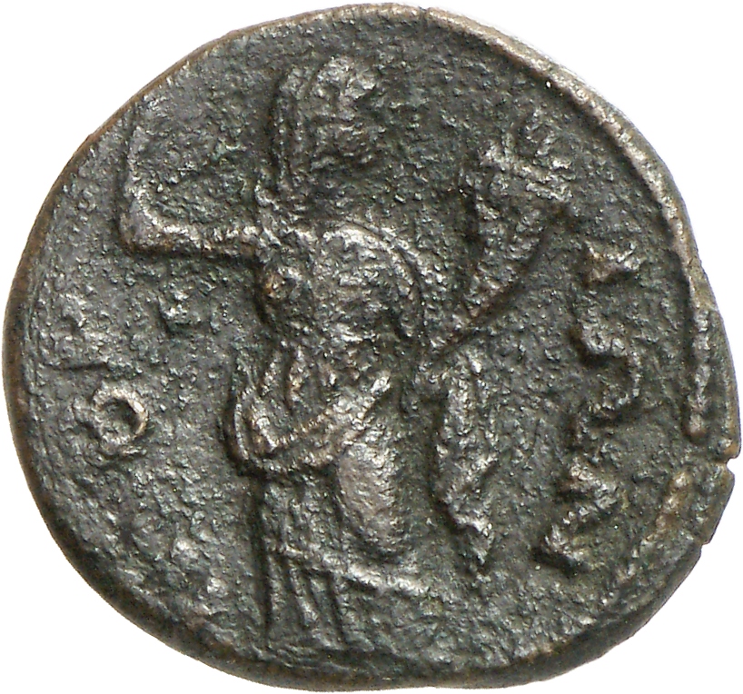 reverse CN Type cn.imbros.1_ed.25