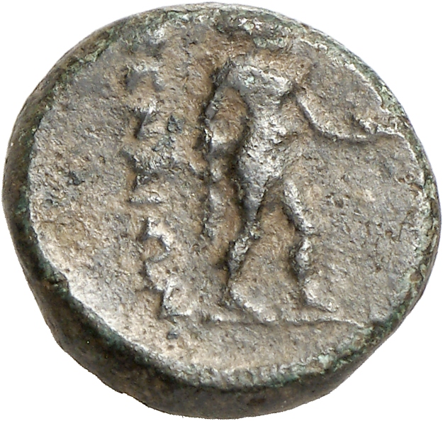 reverse CN Type cn.imbros.1_ed.14