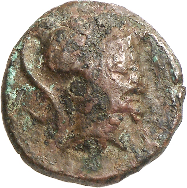 CN Type cn.imbros.1_ed.13, аверс, cn-coins