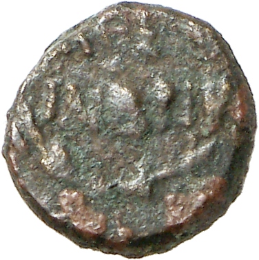 reverse CN Type cn.imbros.1_ed.16
