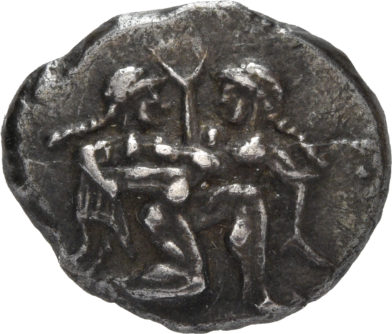 CN Type cn.thasos.1_ed.2, аверс, cn-coins