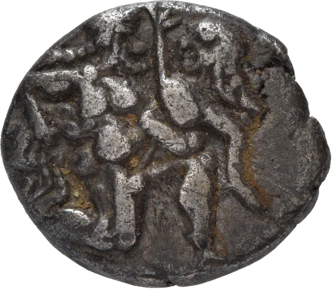 CN Type cn.thasos.1_ed.2, аверс, cn-coins