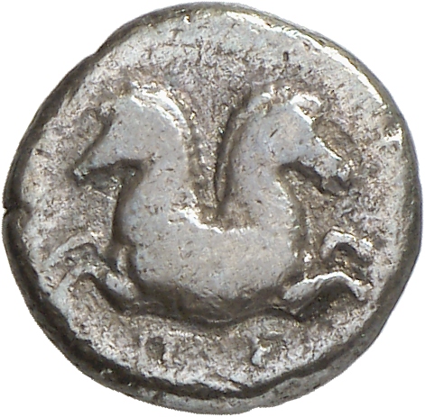 reverse CN Type cn.perinthus.1_ed.3