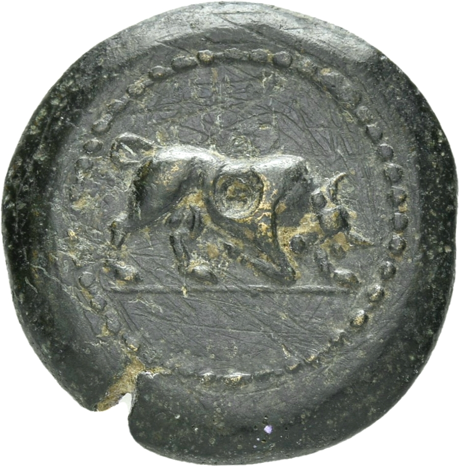 obverse CN Type 21306