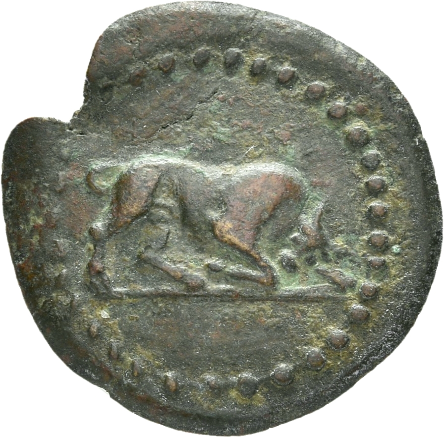 obverse CN Type 21307