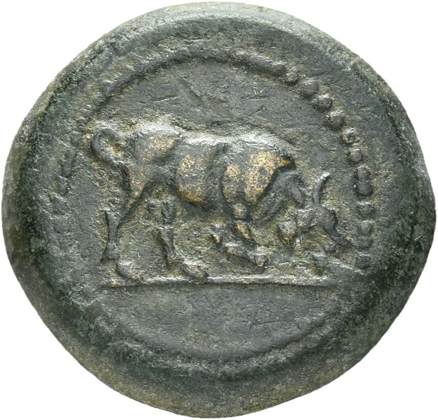 obverse CN Type 21308