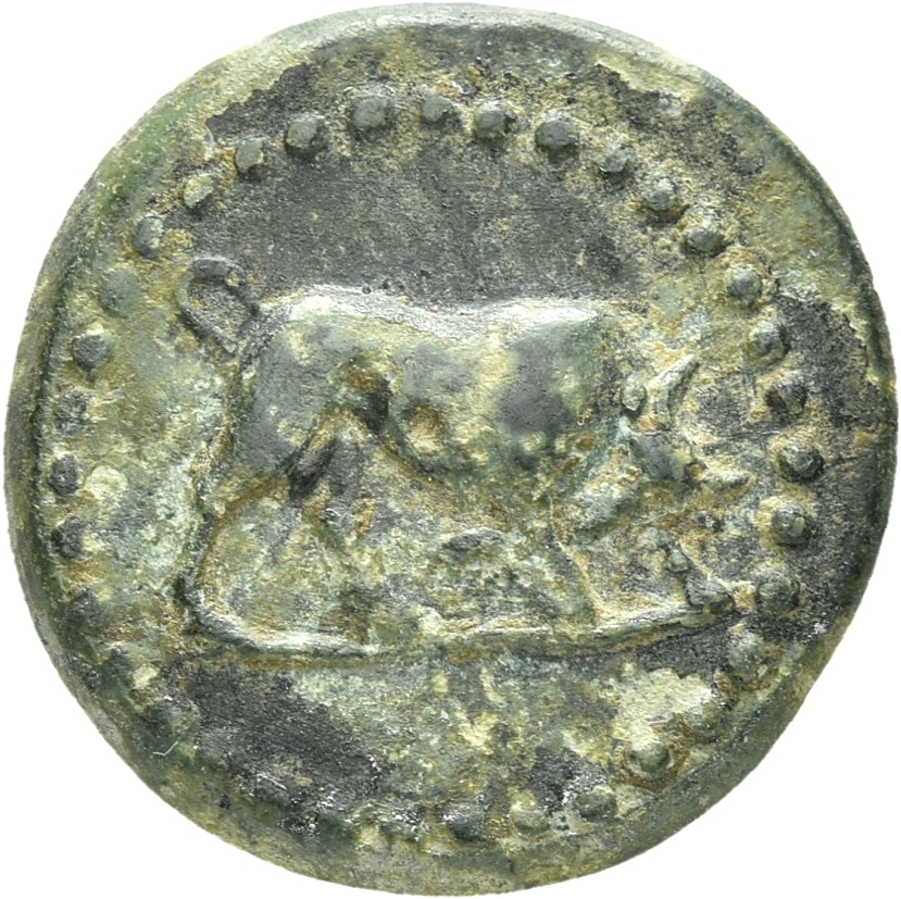obverse CN Type 21310