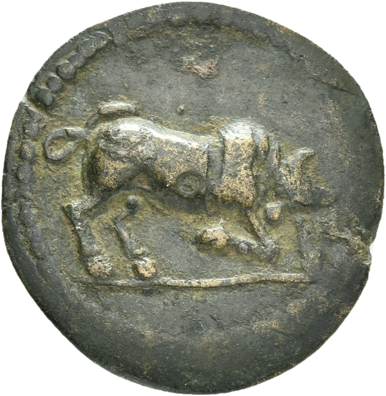 coin obv