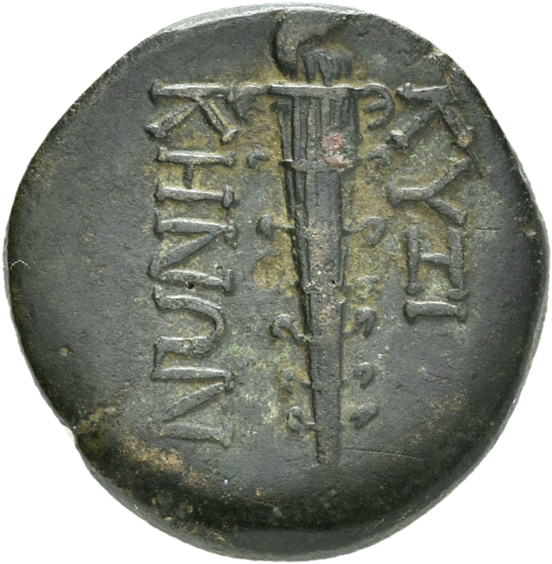 CN Type 20231, реверс, cn-coins