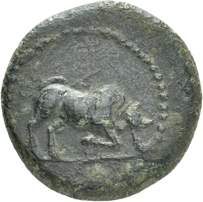 CN Type 20231, аверс, cn-coins