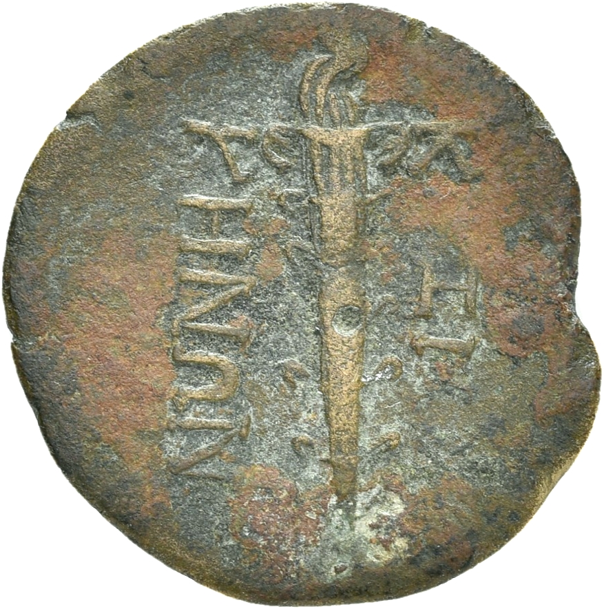 CN Type 20231, реверс, cn-coins