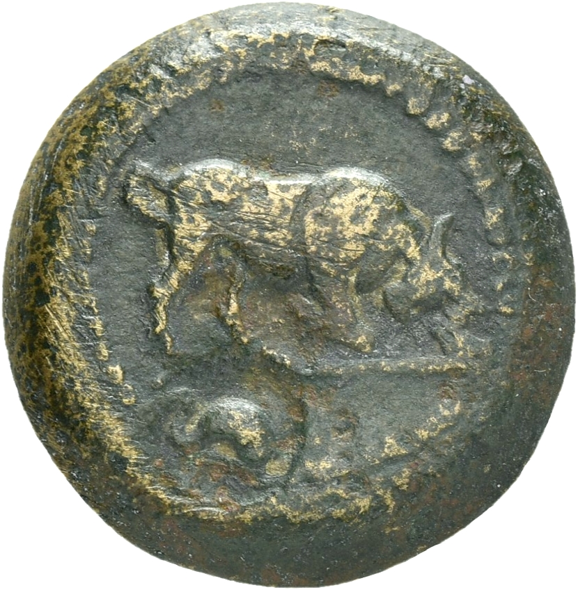 CN Type 20231, аверс, cn-coins
