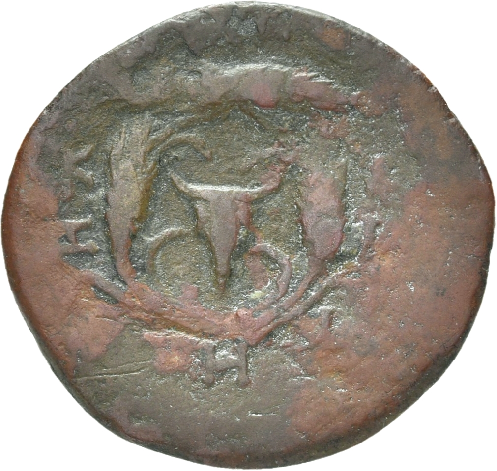 reverse CN Type 21313