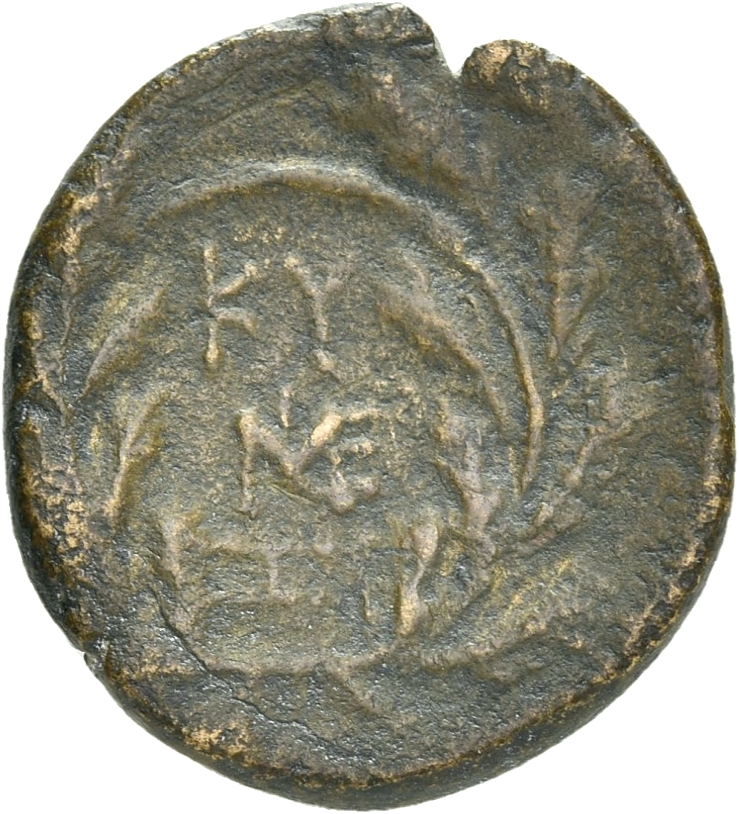 coin rev
