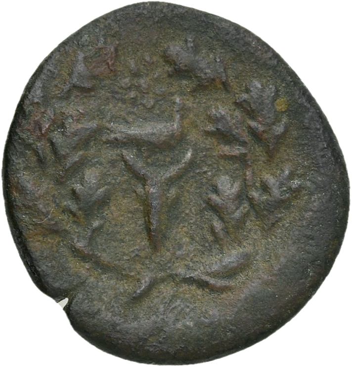 coin rev