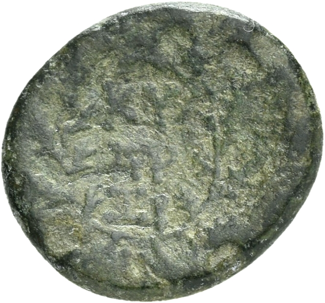 CN Type 21321, реверс, cn-coins