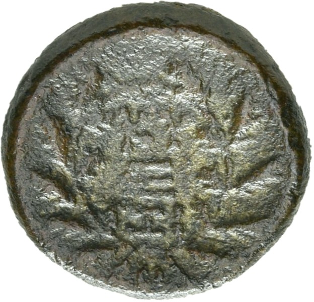 reverse CN Type 21341