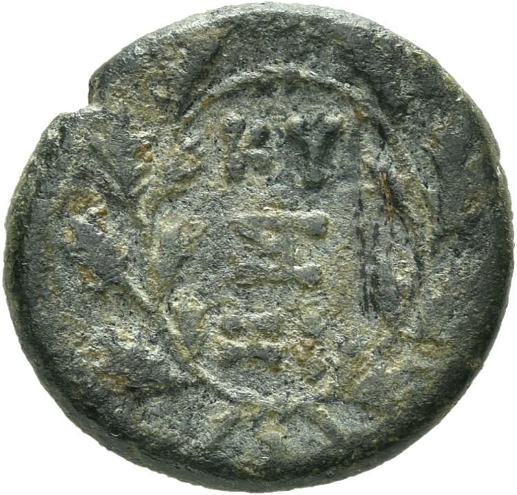 CN Type 21359, реверс, cn-coins
