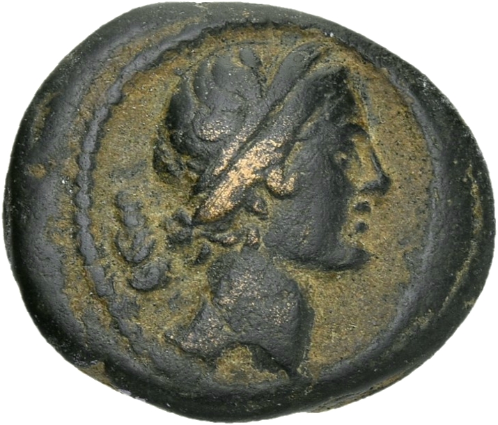 obverse CN Type 21351